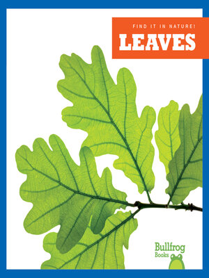 cover image of Leaves